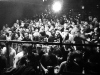 Flex Vienna